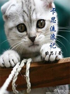 《卡思流郎记》