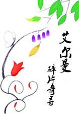 《艾尔曼:碎片奇寻》