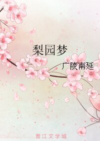 《梨园梦》