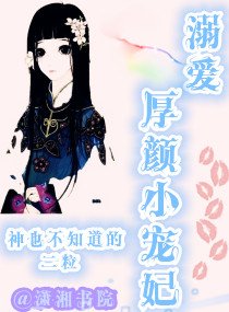 《溺爱厚颜小宠妃》
