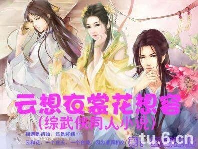 《(综武侠同人)云想衣裳花想容》