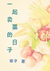 《一起卖菜的日子》