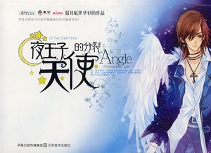《夜王子的分裂天使》