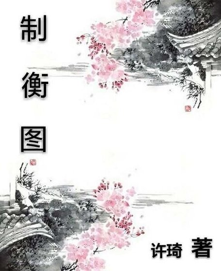 制衡图