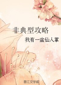 《非典型攻略》
