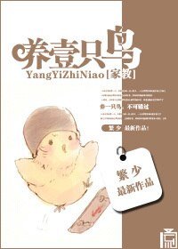 《(家教同人)养一只鸟》