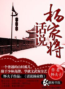 话说杨家将