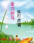 金刀驸马