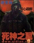《死神之翼》