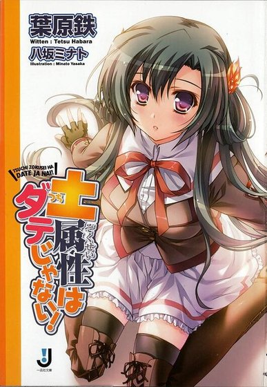 《土属性可不是闹着玩的!/土属性はダテじゃない!》
