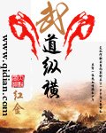 《武道纵横》