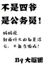 不是四爷是公务员！