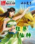《狂暴仙神》