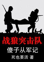 战狼突击（原名：战狼突击队）