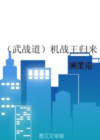 《(BL/武战道同人)机战王归来》