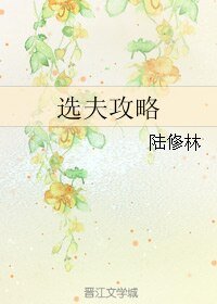 《选夫攻略》