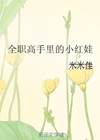 《(BL/全职同人)全职高手里的小红娃》