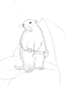 《土拨鼠勇士》