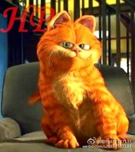 《(BL/HP同人)HP之加菲猫》
