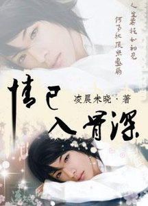 《情已入骨深/已道惘然,燊始惜非》