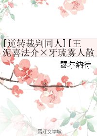 《(BL/逆转裁判同人)王泥喜法介×牙琉雾人散文》