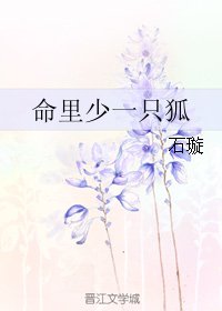 《命里少一只狐》