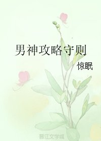 《男神巩略守则/史上第一撩汉巩略》
