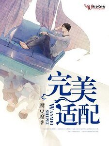 完美适配