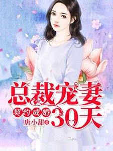 《契约成婚,总裁宠妻30天》