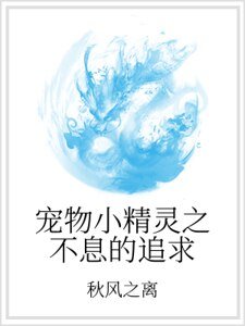 宠物小精灵之不息的追求