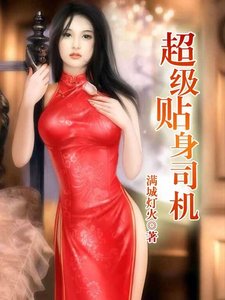 《超级贴身司机》
