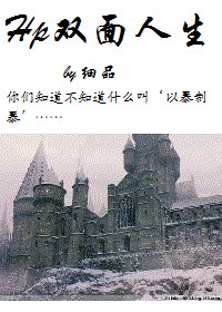 （HP同人）Hp双面人生