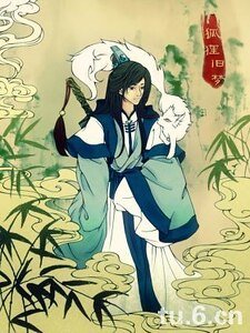 《狐狸旧梦》