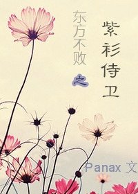 《(东方不败同人)东方不败之紫衫侍卫》