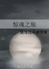 惊魂之旅/惊魂旅途（原版+修改版）