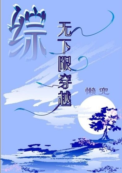 《(综同人)综 无下限穿越》