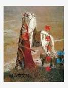 新岳飞传奇