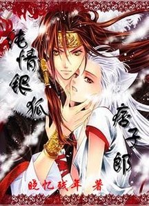 纯情银狐痞子郎