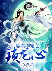 《魔君溺宠之锁龙心》