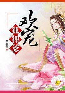 欢宠狐狸爹