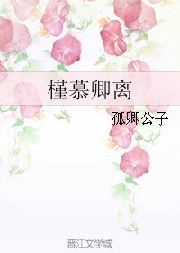 《槿慕卿离》