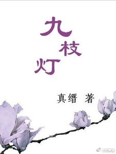 九枝灯/寻仙