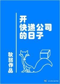 《开快递公司的日子》