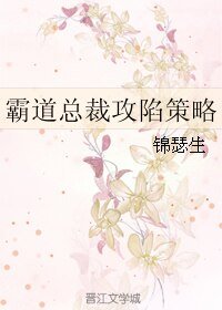 《霸道总裁攻陷策略》
