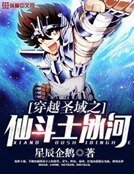 《穿越圣域之仙斗士冰河》