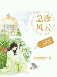 《急诊风云》