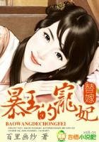 《替嫁:暴王的宠妃》