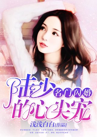 《名门闪婚:陆少的心尖宠》