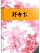 《野老书》