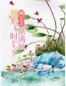 《网王之柳絮飞时花满城》